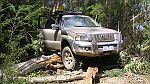 09-Goldie gets caught on a fallen tree on Kennett Wye Jeep Trk